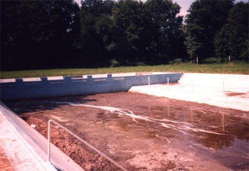 basen1.jpg